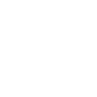 Deposition Transcripts