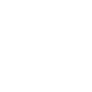 Case Chronology