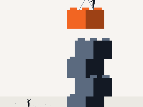 Risk management in construction litigation